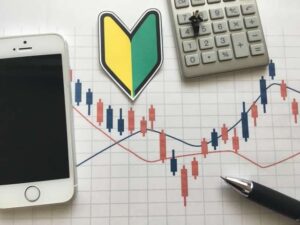 初心者にも簡単！FX自動売買ソフトButterfly