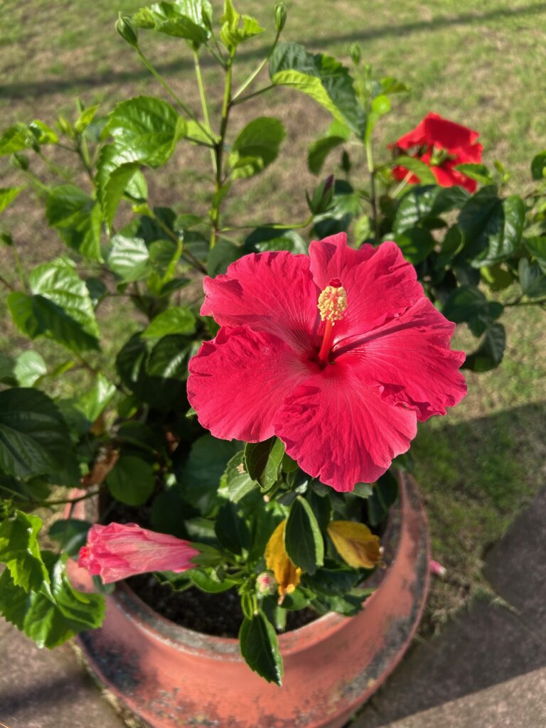 現在の画像に代替テキストがありません。ファイル名: image4-1-rotated.jpeg