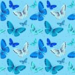 現在の画像: butterfly