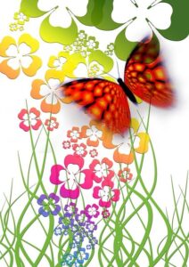 きれいなbutterfly