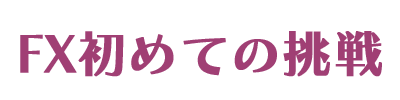 FX 初めての挑戦