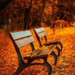 ็พๅจใฎ็ปๅใซไปฃๆฟใใญในใใใใใพใใใใใกใคใซๅ: benches-560435_640.jpg