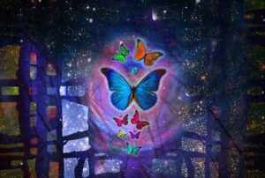 未来から来たbutterfly