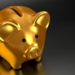 現在の画像に代替テキストがありません。ファイル名: piggy-bank-2889046_640-1.jpg