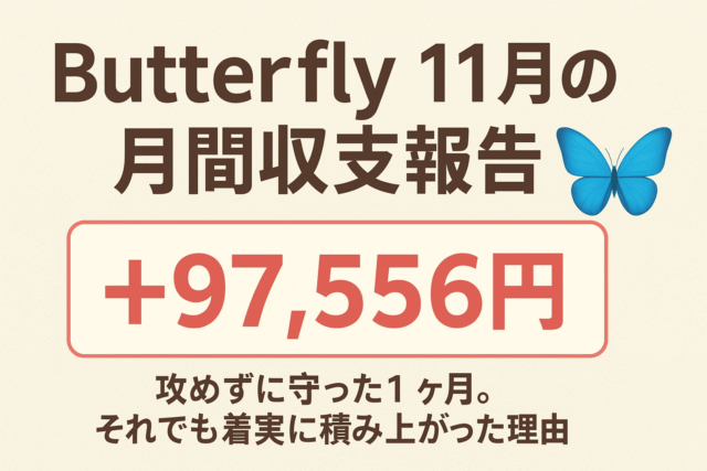 現在の画像: 収支報告