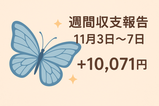 現在の画像: 収支報告