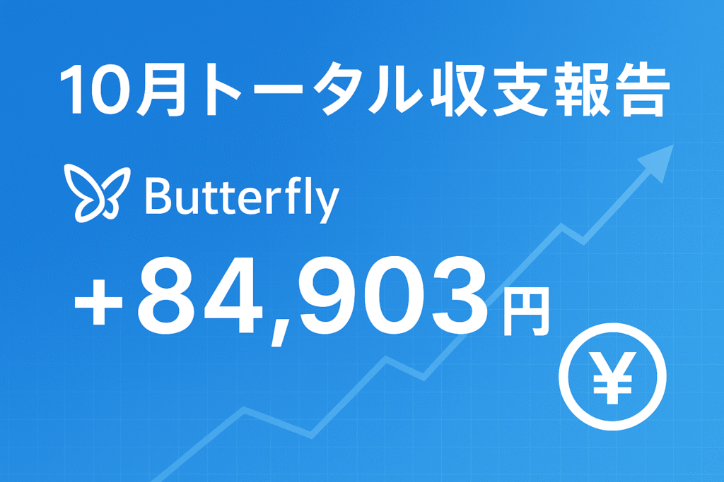 現在の画像: 収支報告