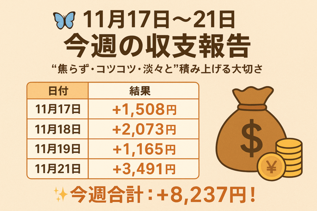 現在の画像: 収支報告