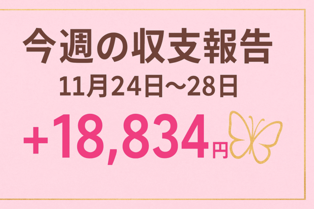 現在の画像: 収支報告